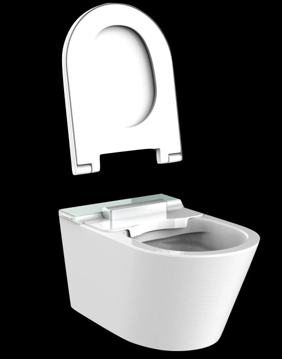 quick release toilet seat